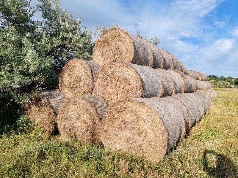 Grass hay round bale