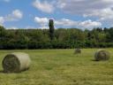 Lucerna round bales for sale
