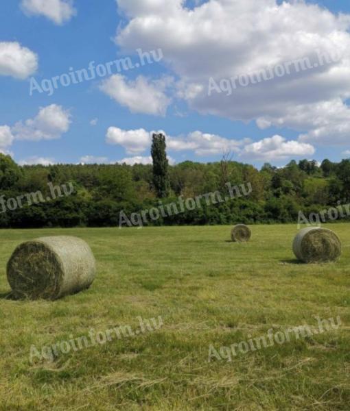 Lucerna round bales for sale