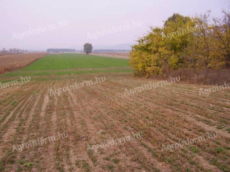 Small field for sale in Kánya
