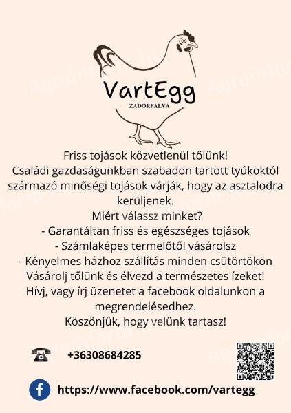 Stolní vejce z volného chovu na prodej od výrobce