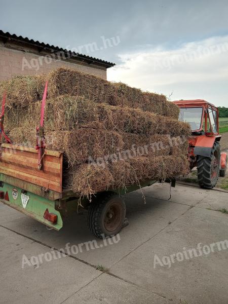 Alfalfa za prodajo