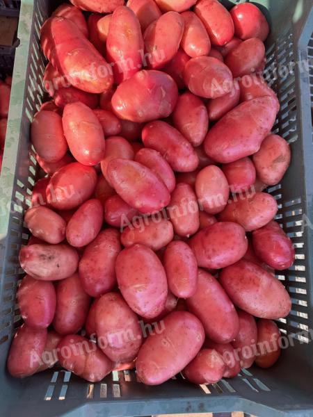 Krumpir, novi prehrambeni proizvod na prodaju u Mórahalmu