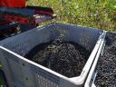 JAGODA - ARONIA COMBINE WITH VIDEO DEMONSTRATION - ROYAL TRACTOR