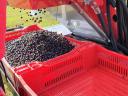 JAGODA - JAREK TRAILED BLACKCURRANT HARVESTER WITH VIDEO DEMONSTRATION - ROYAL TRACTOR