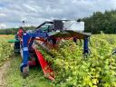 JAGODA - OSKAR ANHÄNGERBEEREN - ARONIA ERNTEMASCHINE VORFÜHRUNG MIT VIDEO