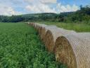 Alfalfa hay bale for sale