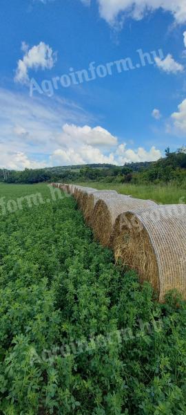 Alfalfa Heuballen zu verkaufen