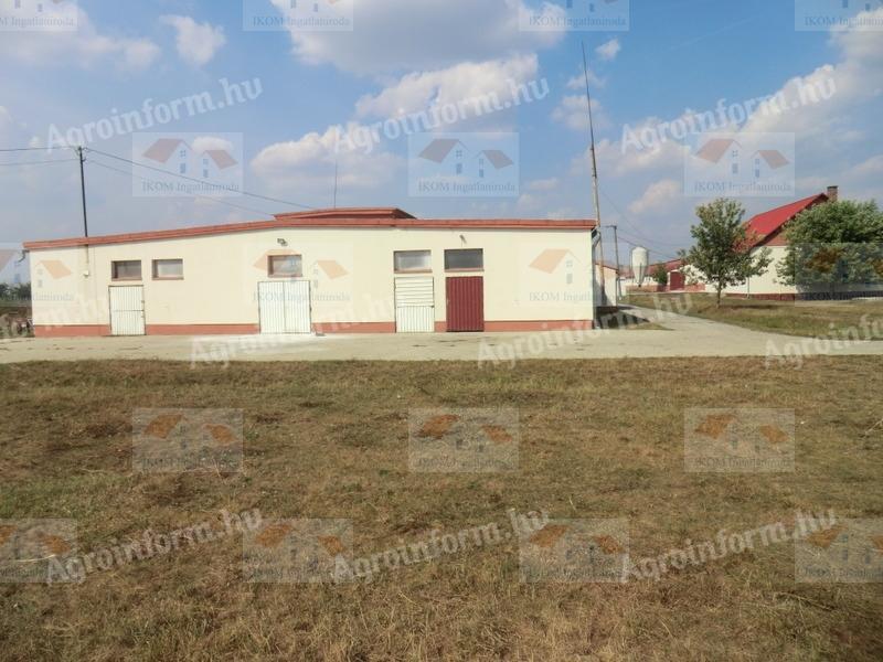 Major livestock farm for sale