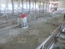 Major livestock farm for sale