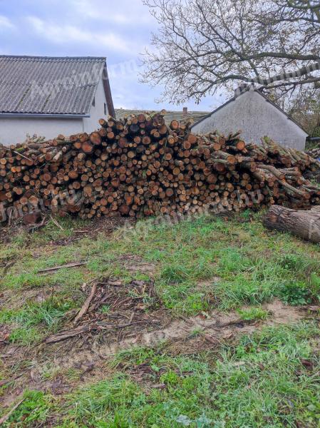 Tűzifa eladó nagy tételben