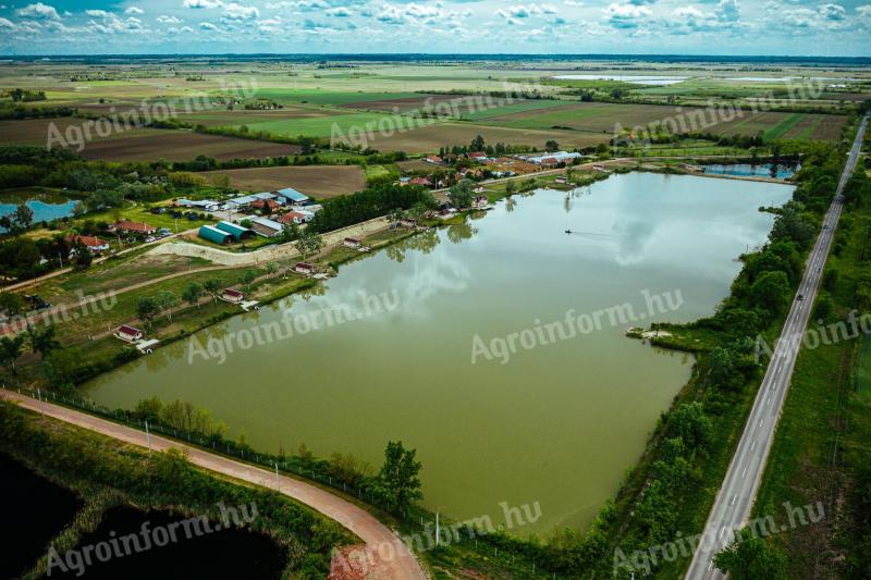 Eladó Gyula,  Big Fish Lake