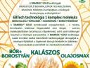 DAMISOL GOLD SZÓJA - Biokatalizátor levéltrágya BOMBA ÁRON