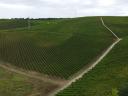 На продају 8,2 хектара винограда у Виланском региону