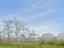 Eladó 6,1 hektár belterületi kertészet saját termálkúttal Tiszakécske-Kerekdombon