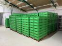 Еуро Е2 кутија за месо, 60к40к20 цм, зелена (коришћена)