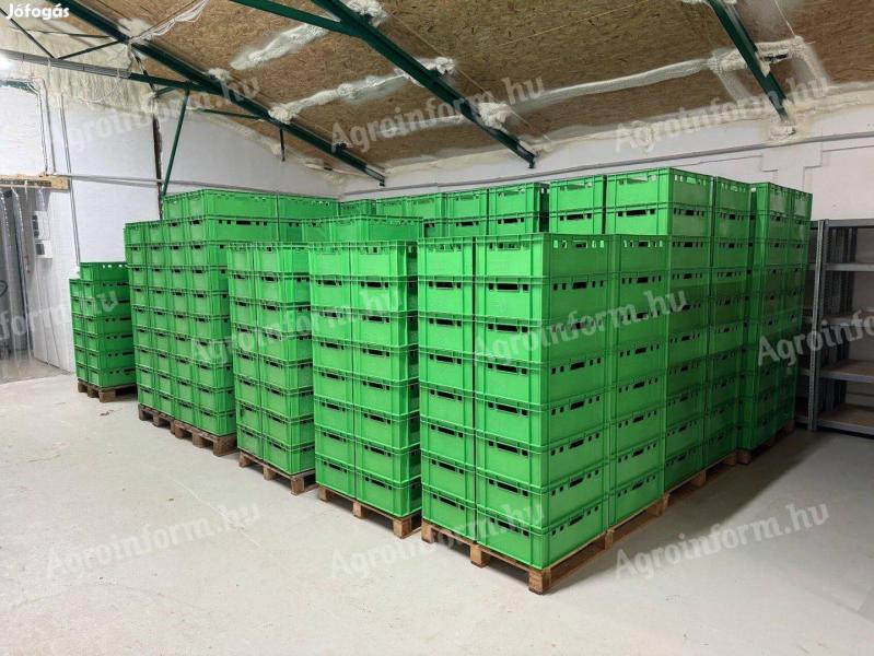 Еуро Е2 кутија за месо, 60к40к20 цм, зелена (коришћена)