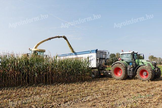 Mezőgazdasági bér munka kukorica szilázs