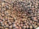 Minuloročné zemiaky s modrou značkou Rudolf na predaj v Mórahalome