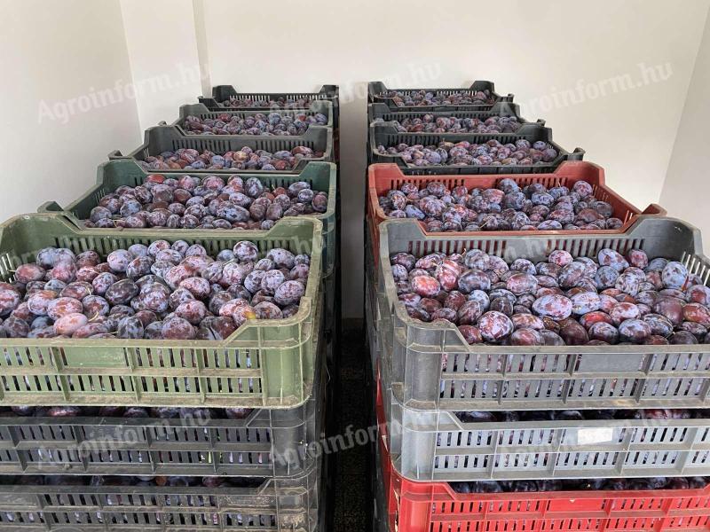 Plums for sale Rána