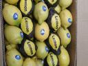 Großes gelbes Zitronenprodukt zum besten Preis