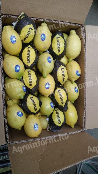 Velký žlutý citron výrobek za nejlepší cenu
