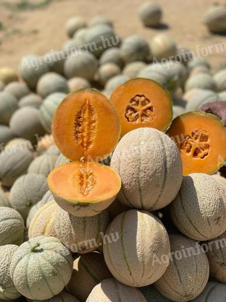 Yellow melon product at the best price