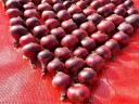 Onion products of different types and colours at the best prices