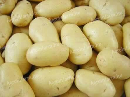 Weißes Kartoffelprodukt
