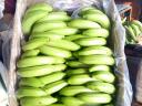Zelený banánový produkt