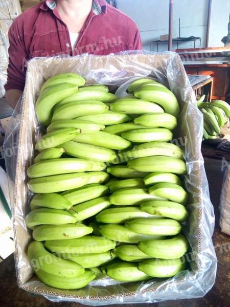 Produkt z zielonych bananów