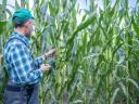 Dunaegyháza hľadá inšpektorov na označovanie osiva kukurice