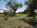 Fenced, well-kept garden for sale in Szolnok