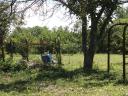 Fenced, well-kept garden for sale in Szolnok