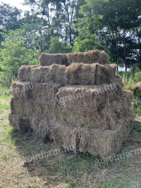 This year's meadow hay small cubes