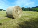 Rett hay for sale