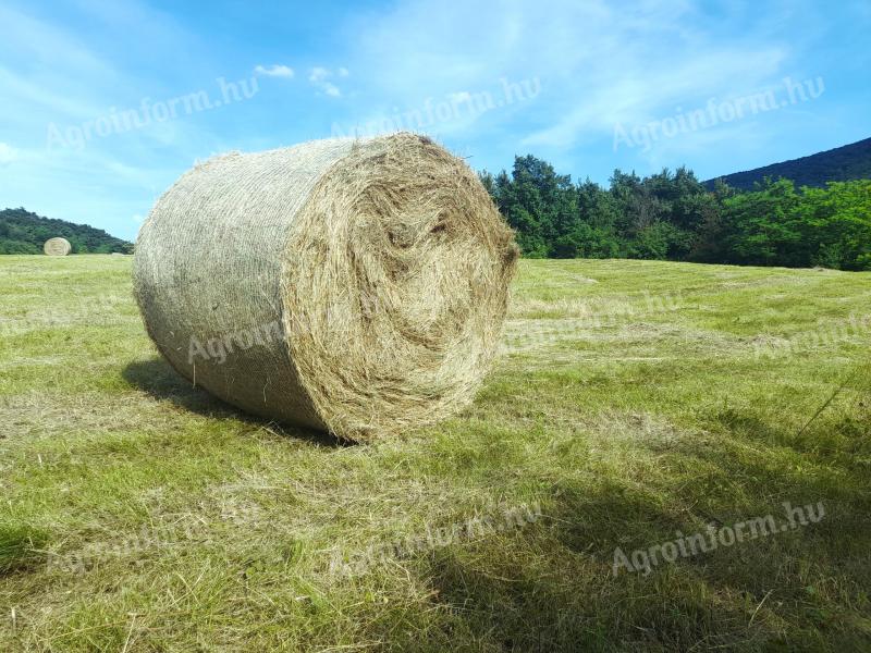 Rett hay for sale
