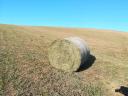 Solid bales of hay 160 mesh for sale