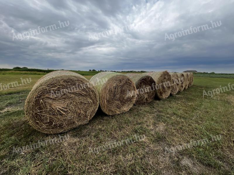 Bale of hay