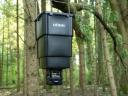 Discover the DÖRR Compact automatic feeder