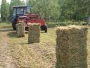 Lucerna small cubes, leafy, green dried, shake free, solid bales