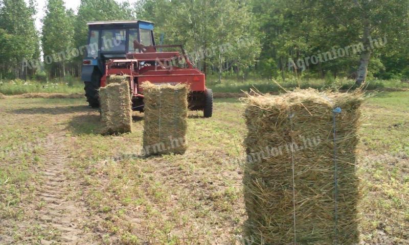 Lucerna small cubes, leafy, green dried, shake free, solid bales