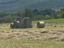 This year's 150 meadow hay bale for sale
