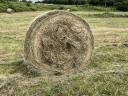 Meadow hay bale 2024 for sale