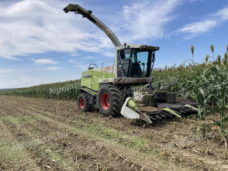 Scorching, Silage