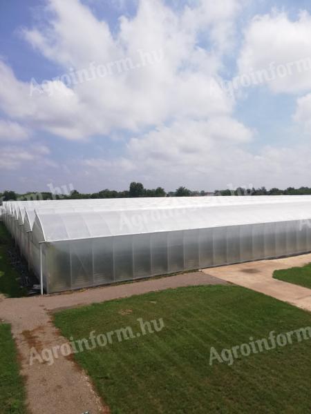 1 hectare insulated foil house for sale