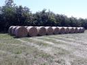 This year's hay bale