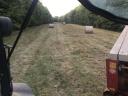 Rain-free round baled meadow hay" --> "Rain-free round baled meadow hay