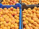 Gönc peaches produced in a protected area of ​​origin are for sale
