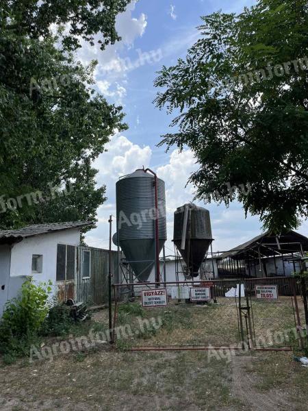 Pig farm for sale